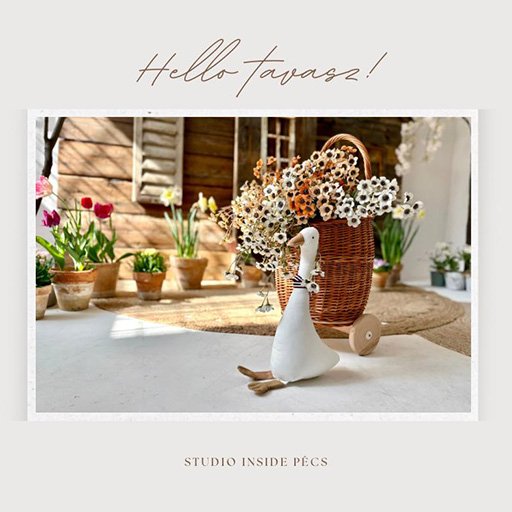 Tavaszi mini fotózás I Fotó Király Krisztina